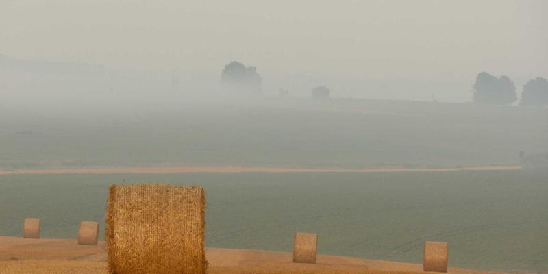 ESG投资浪潮下，财务咨询、税务筹划与公司注册如何重塑企业价值披露