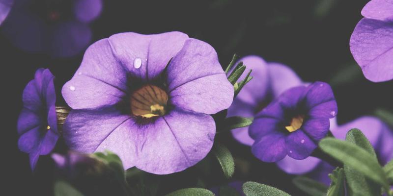 中小企业如何选择适合的财务咨询服务？林迈财务为您解析公司注册与财务管理之道