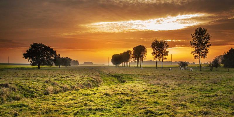 林迈财务：构建零售业库存周转率与现金流管理的财务模型，驱动企业稳健增长