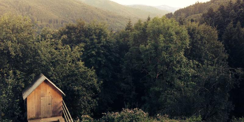 股权激励的财务影响与个税筹划：代理记账与税务筹划的关键作用