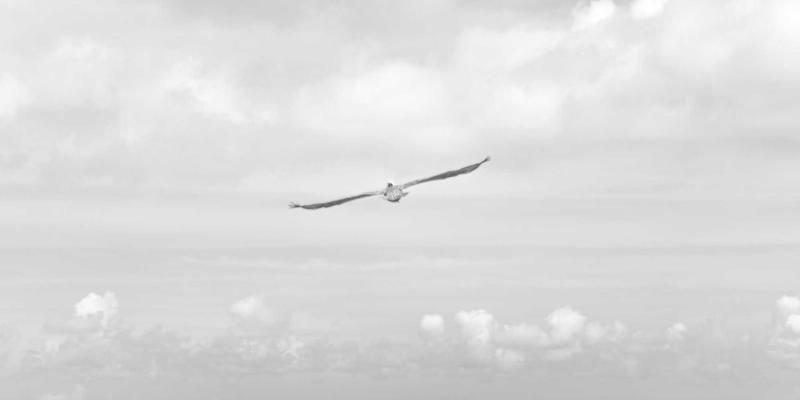 财务咨询91：解锁财务外包、代理记账与专业咨询的协同价值