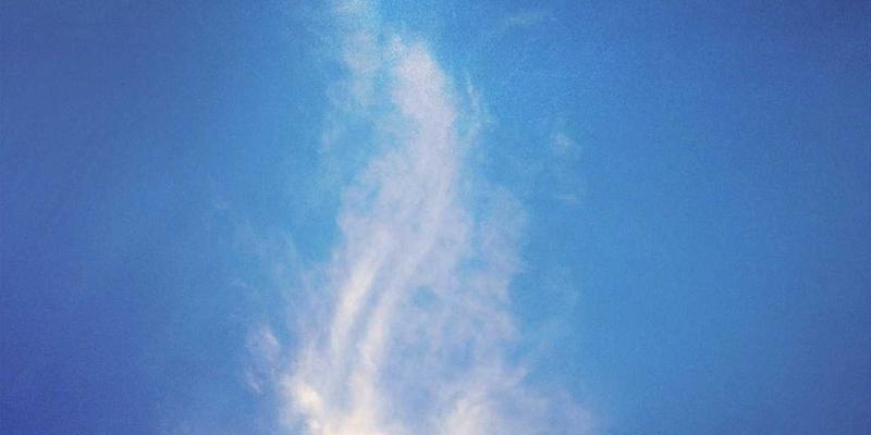 财务咨询进阶：从基础管理到战略税务筹划，林迈财务的专业跃迁之路