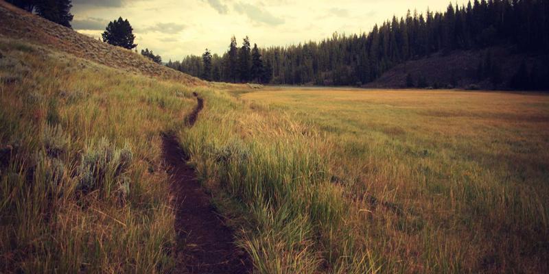 财务外包视角下企业研发费用加计扣除全流程优化与风险规避——以林迈财务税务筹划为例