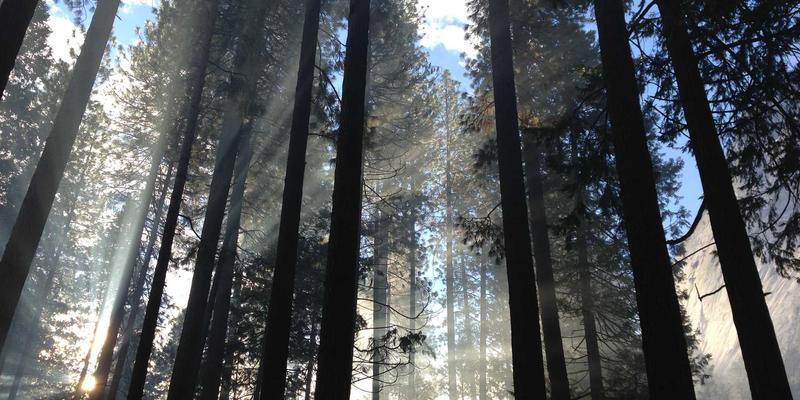高科技企业研发费用加计扣除：林迈财务咨询的税务筹划与财务外包解决方案